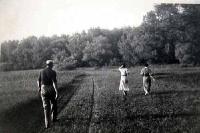 Click for large version