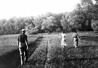 Click for large version